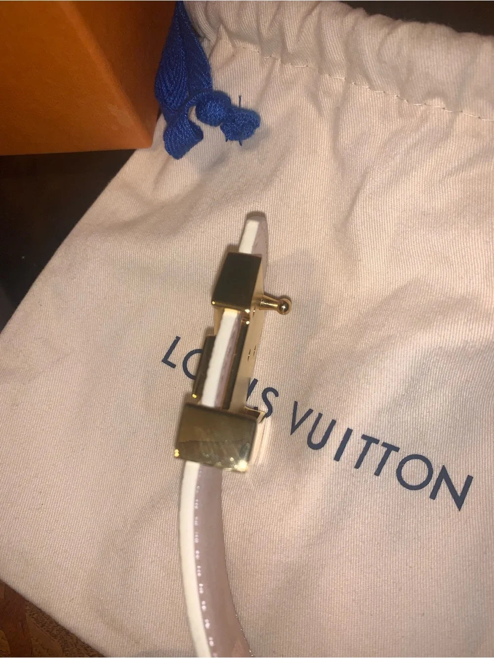 Louis Vuitton classic louis